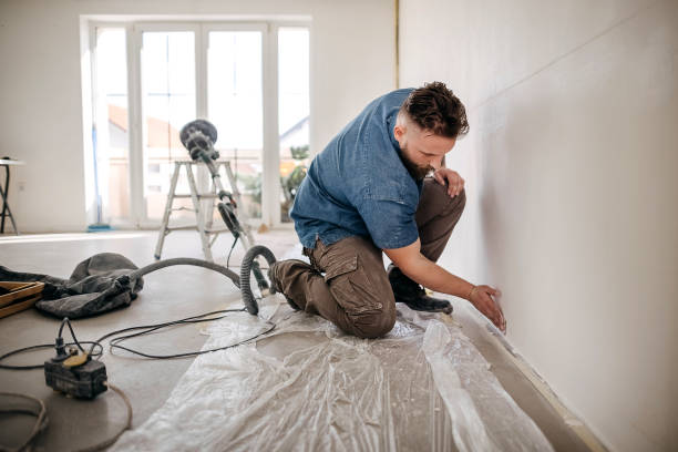 Best Drywall Sanding and Smoothing  in Braddock Hills, PA